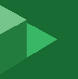 Trueview_Logo
